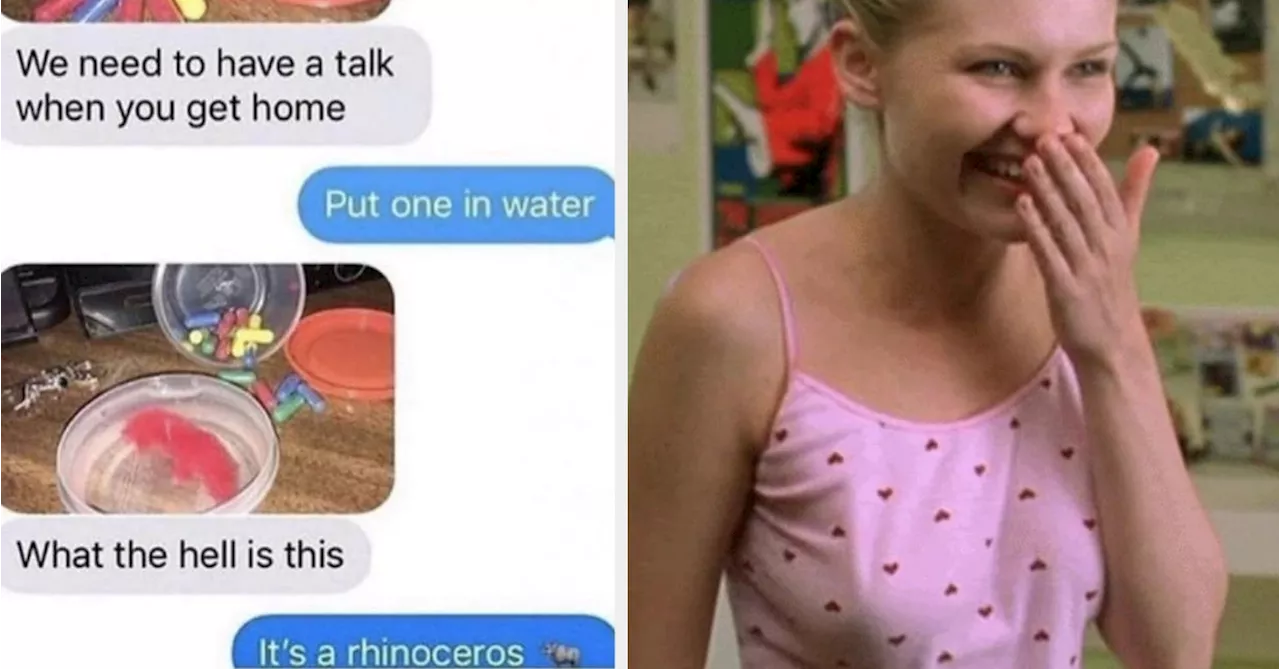 53 Funny Unhinged Texts