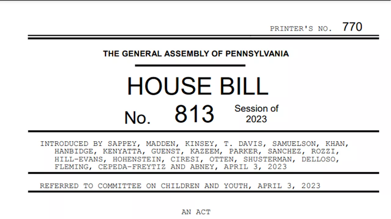 'I am hopeful.' Legislation to create a permanent Office of the Child Advocate is proposed, but could it actually pass?