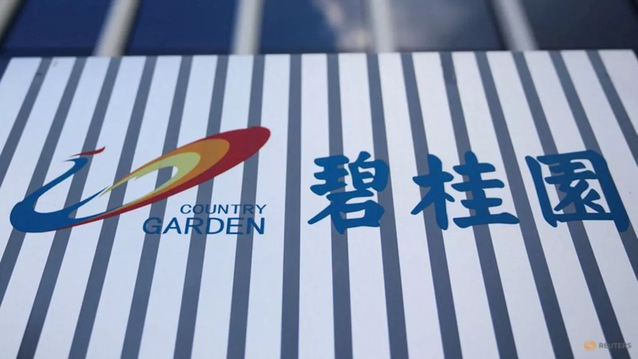 Chinese developer Country Garden faces fresh offshore payments deadline