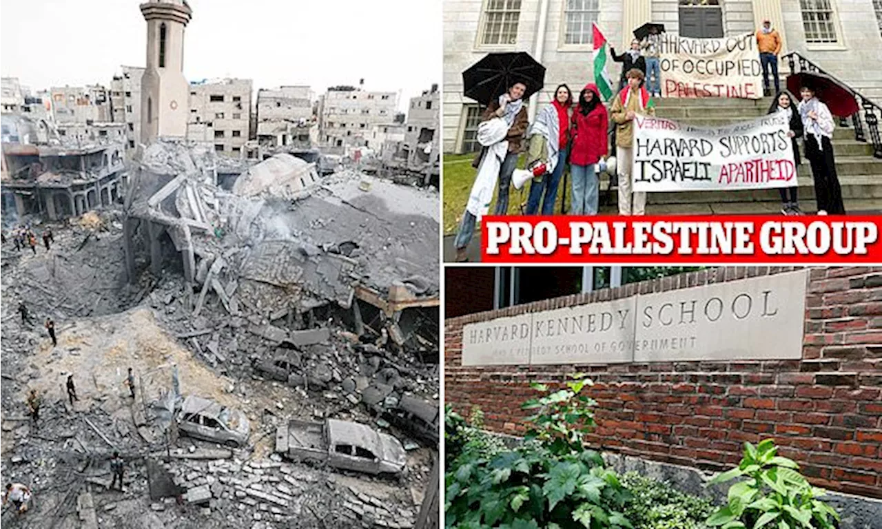 THIRTY-ONE Harvard organizations including college's Amnesty International affiliate blame Israel...