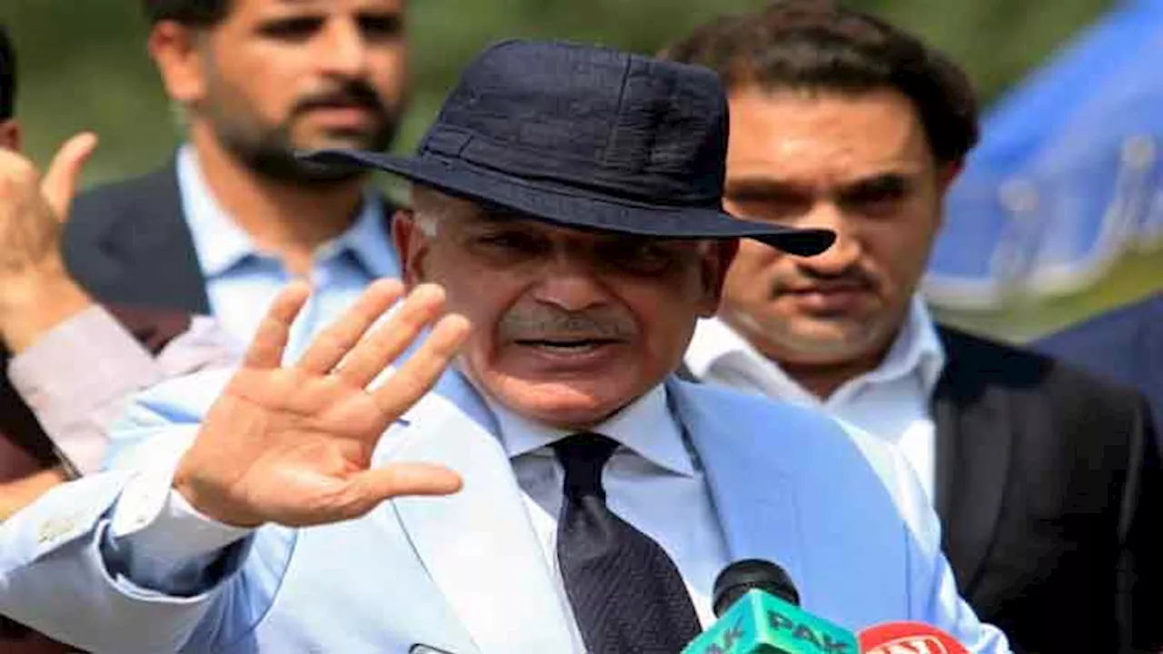 Nawaz's Oct 21 address to set direction for Pakistan: Shehbaz