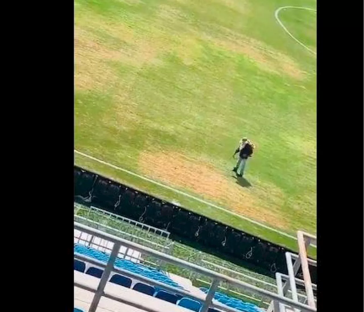 Video: así maquillaron el gramado del estadio Sierra Nevada en Santa Marta