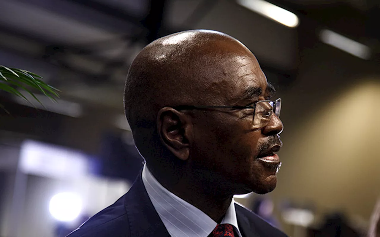 Political killings in KZN linked to circulation of illegal guns - Mchunu