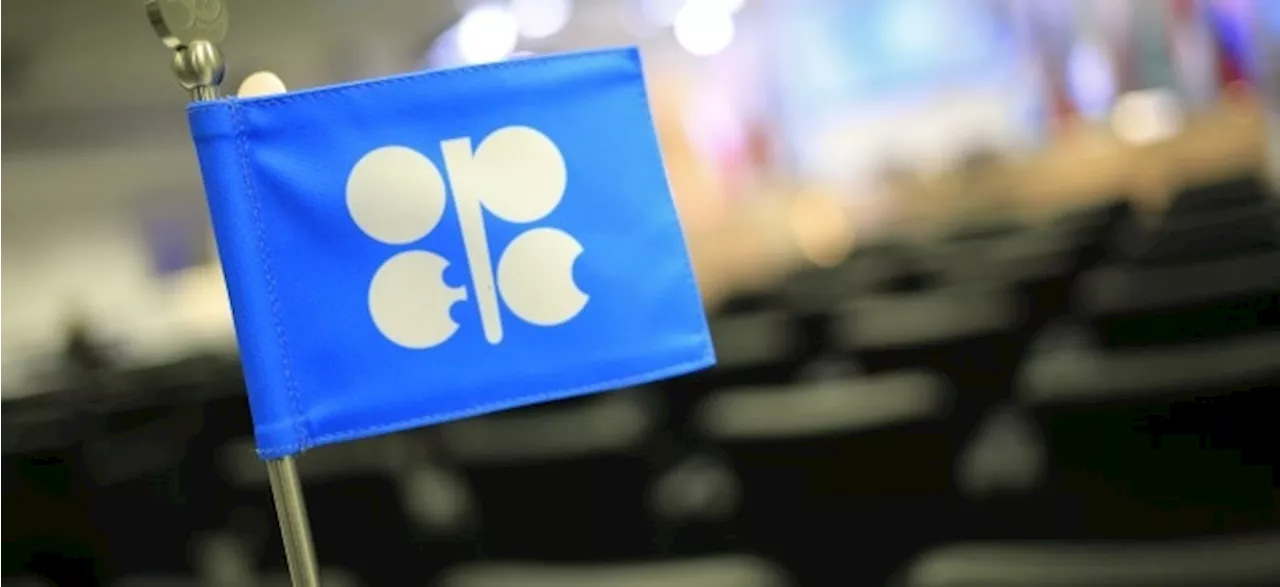 Nach stundenlangen Verhandlungen: OPEC+ senkt Produktionsziel für 2024