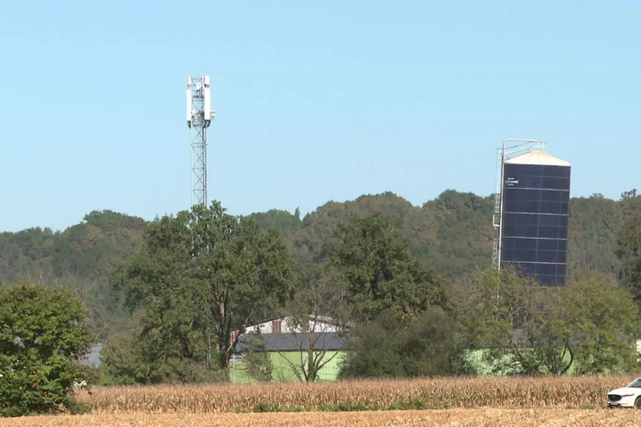 Un silo de 1 000 tonnes menace de s'écrouler sur un élevage de porcs en Béarn