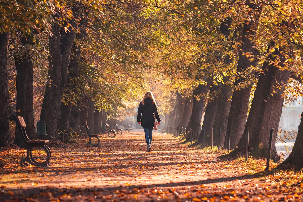 Dr. Alex George on how walking can help your mental health