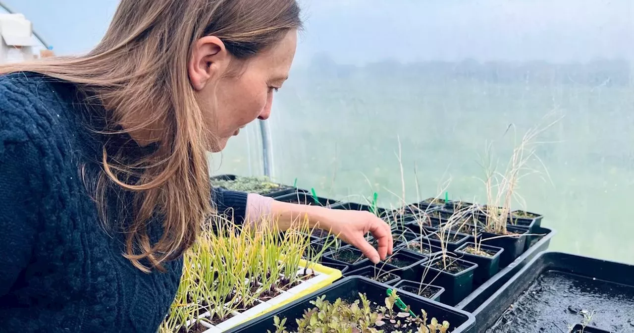 Irish woman woman trying to save our native plants for future generations