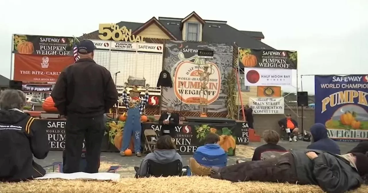 50th annual pumpkin weigh-off underway Half Moon Bay