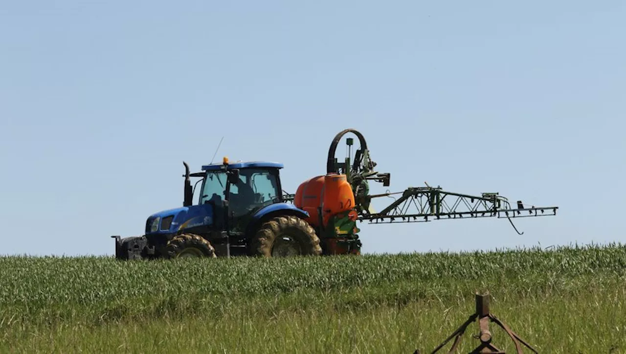 Haute-Garonne : le prosolfucarbe, le désherbant qui inquiète