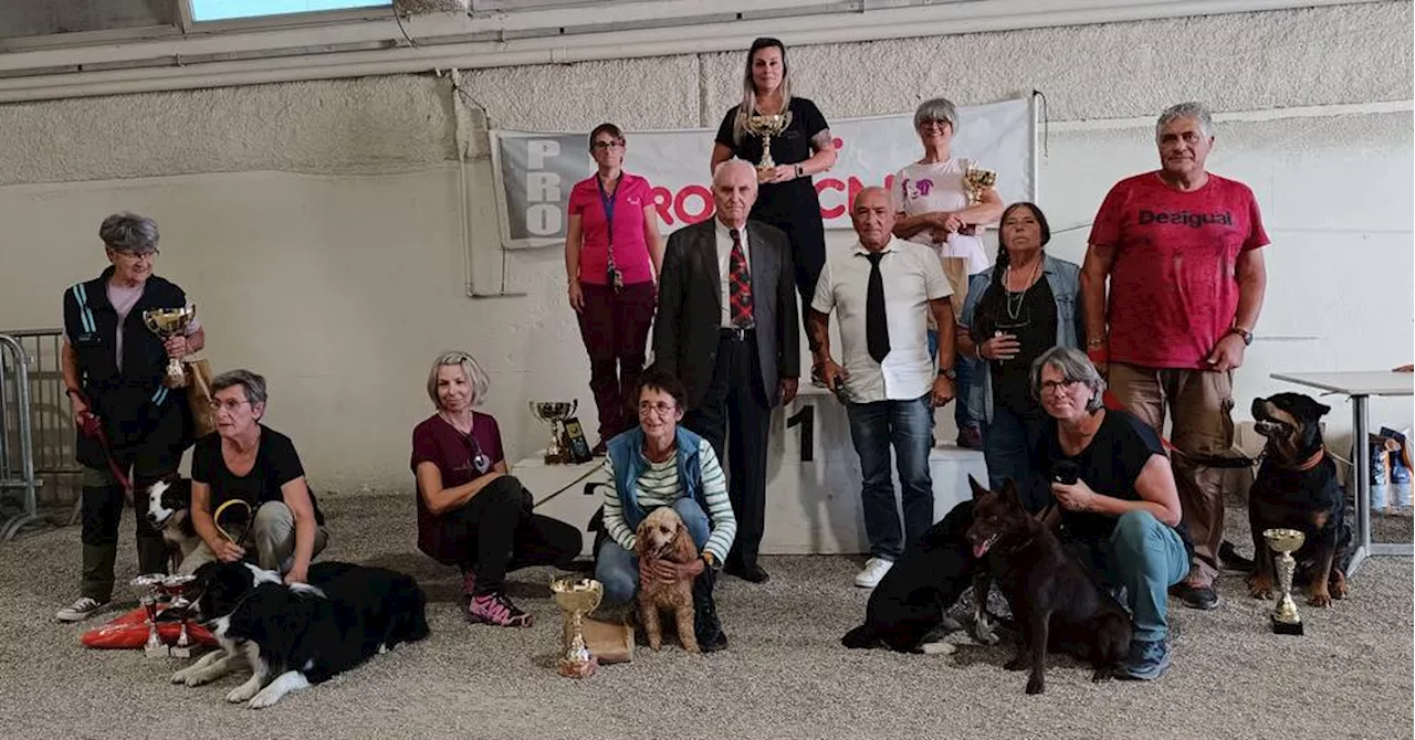 Le club canin d'Orange récompense les chiens les plus obéissants à travers un concours