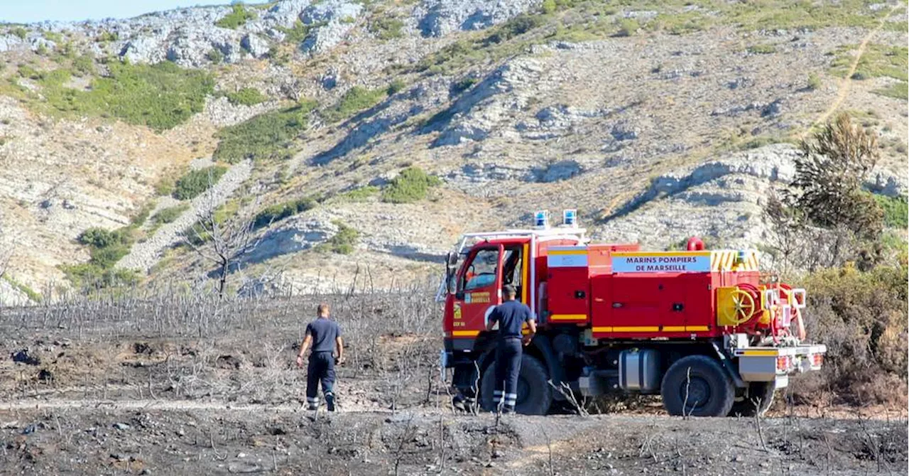 Les incendies dans les massifs forestiers à Marseille en baisse de près de 30 % cet été