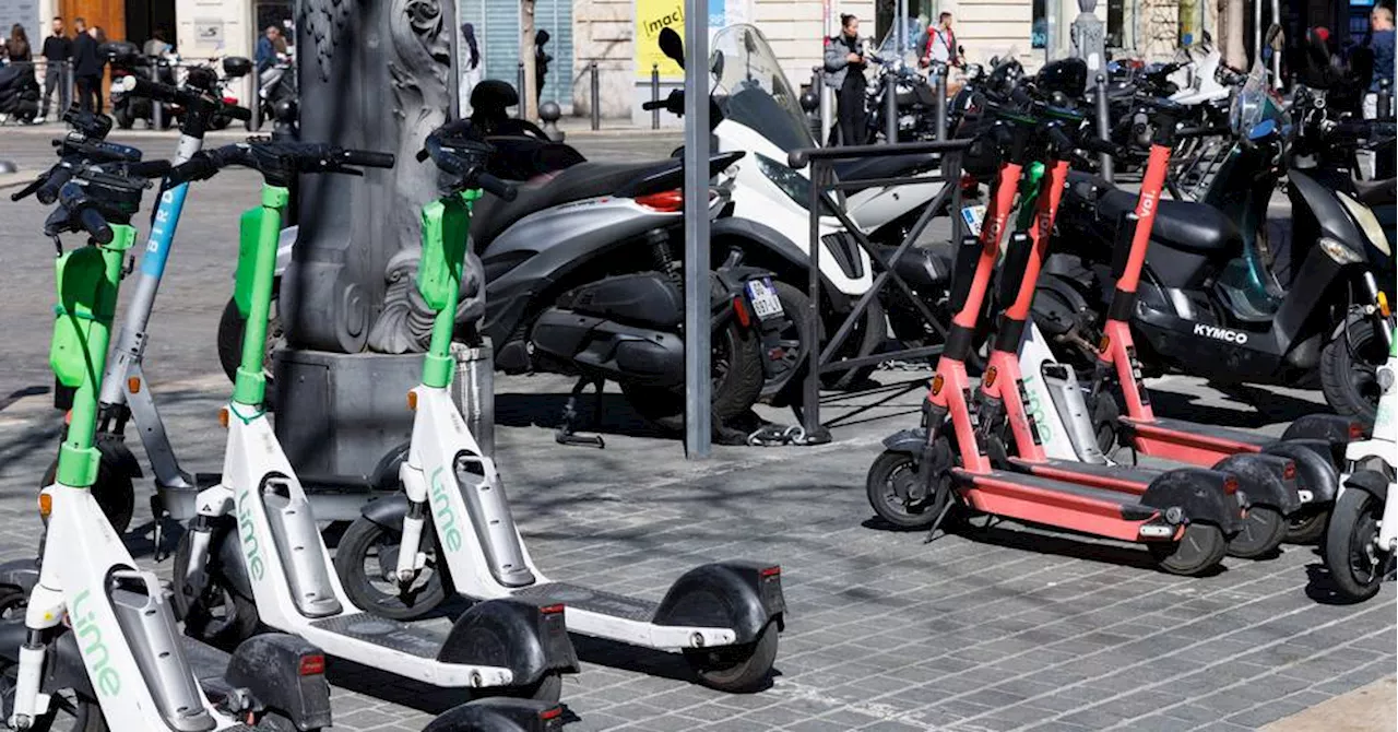 Trottinettes : à Marseille, Bird, Lime et Voi se disputent le terrain