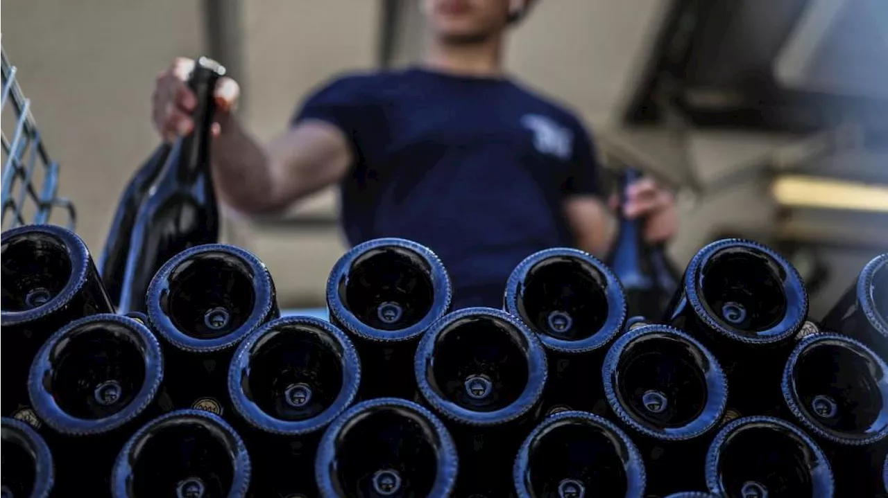 La France passe devant l’Italie et devient le 1er producteur mondial de vin