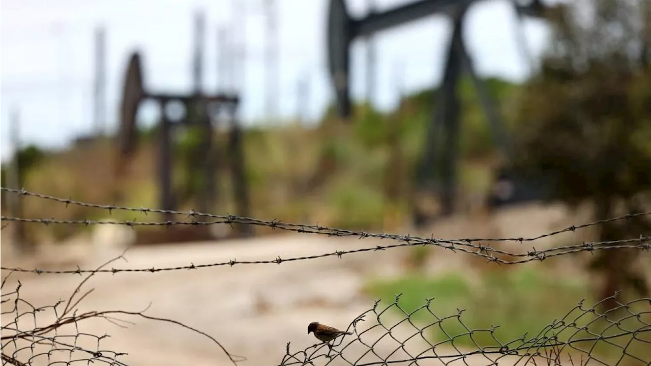 Les cours du pétrole vont-ils atteindre des sommets après l’offensive du Hamas contre Israël?