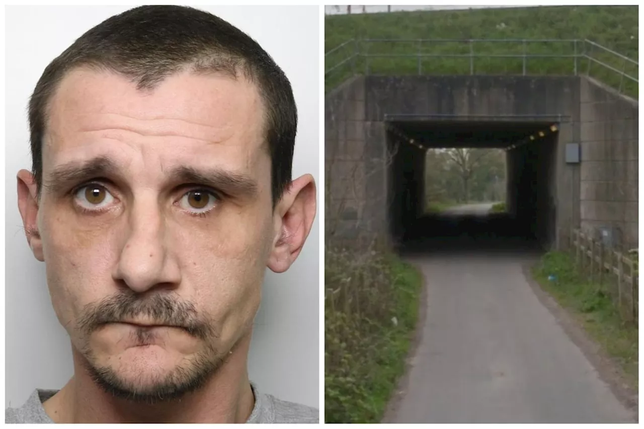 Dangerous sex predator attacked grandmother in M62 motorway tunnel telling her: 'Scream and I will kill you'