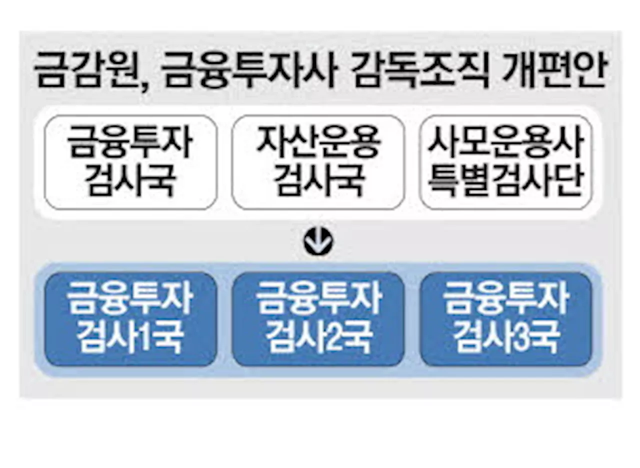 금감원, 금융투자사 검사인력 30% 늘린다 - 매일경제