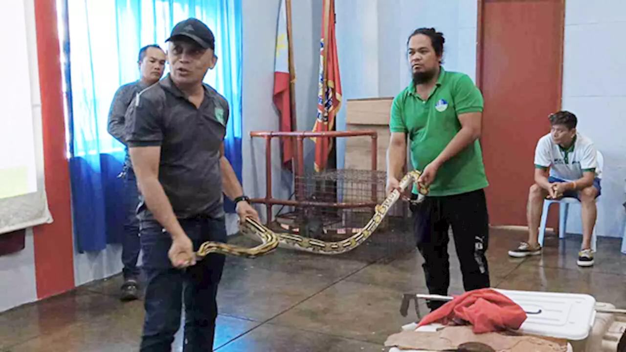 Cebu City firemen take part in wildlife management training