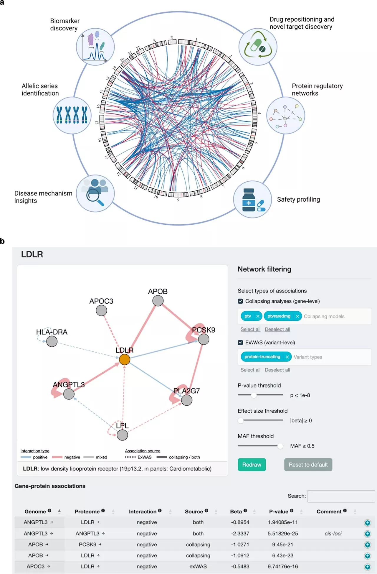 Connections between rare genetic changes and blood proteins to shape current and future drug discovery