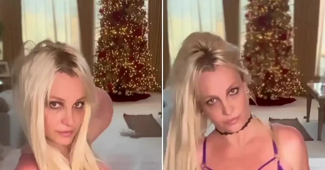 Britney Spears already has her Christmas tree up