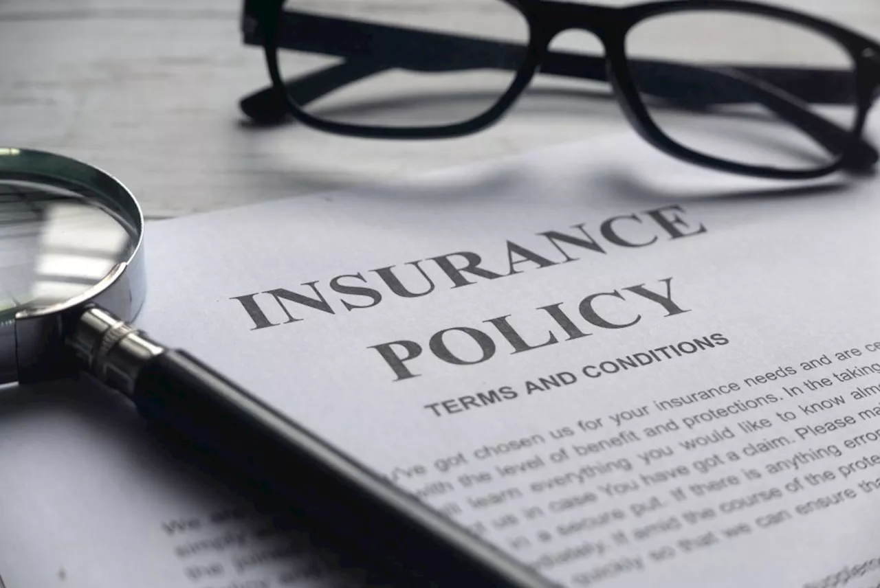 Short-term insurance: Tailored protection for temporary needs