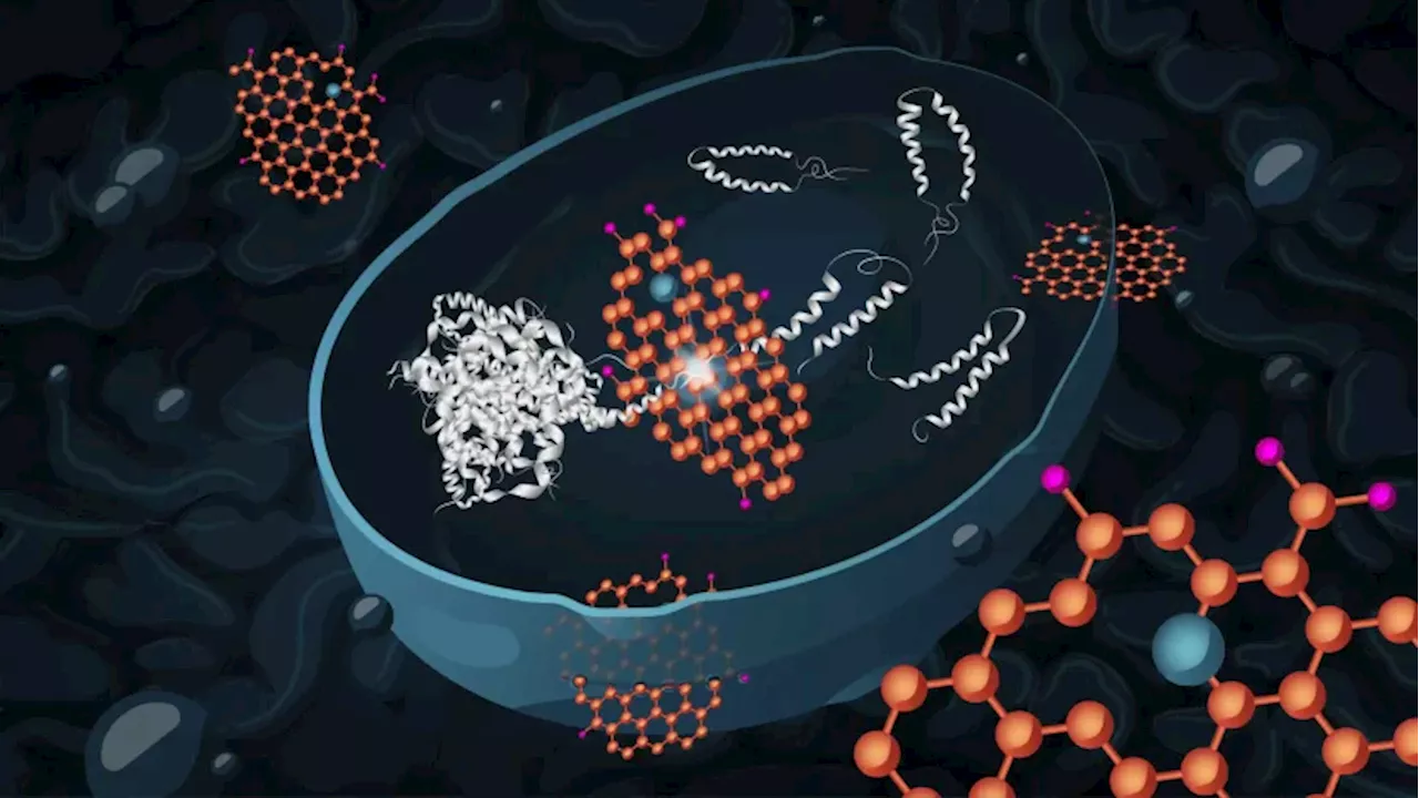 Graphene oxide offers a promising new approach to treating Alzheimer's disease