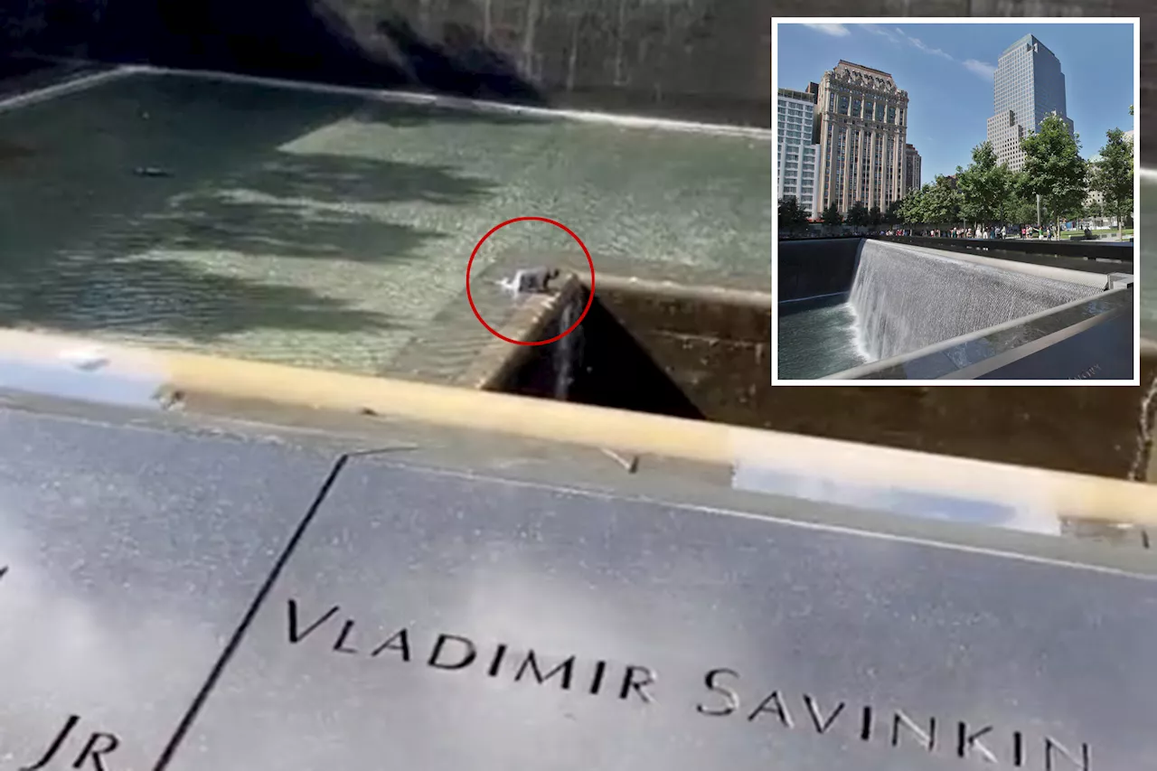 NYC man, 33, leaps into North Pool at 9/11 Memorial, survives and is arrested