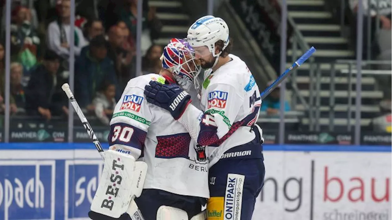 Warum bei den Eisbären gerade alles passt