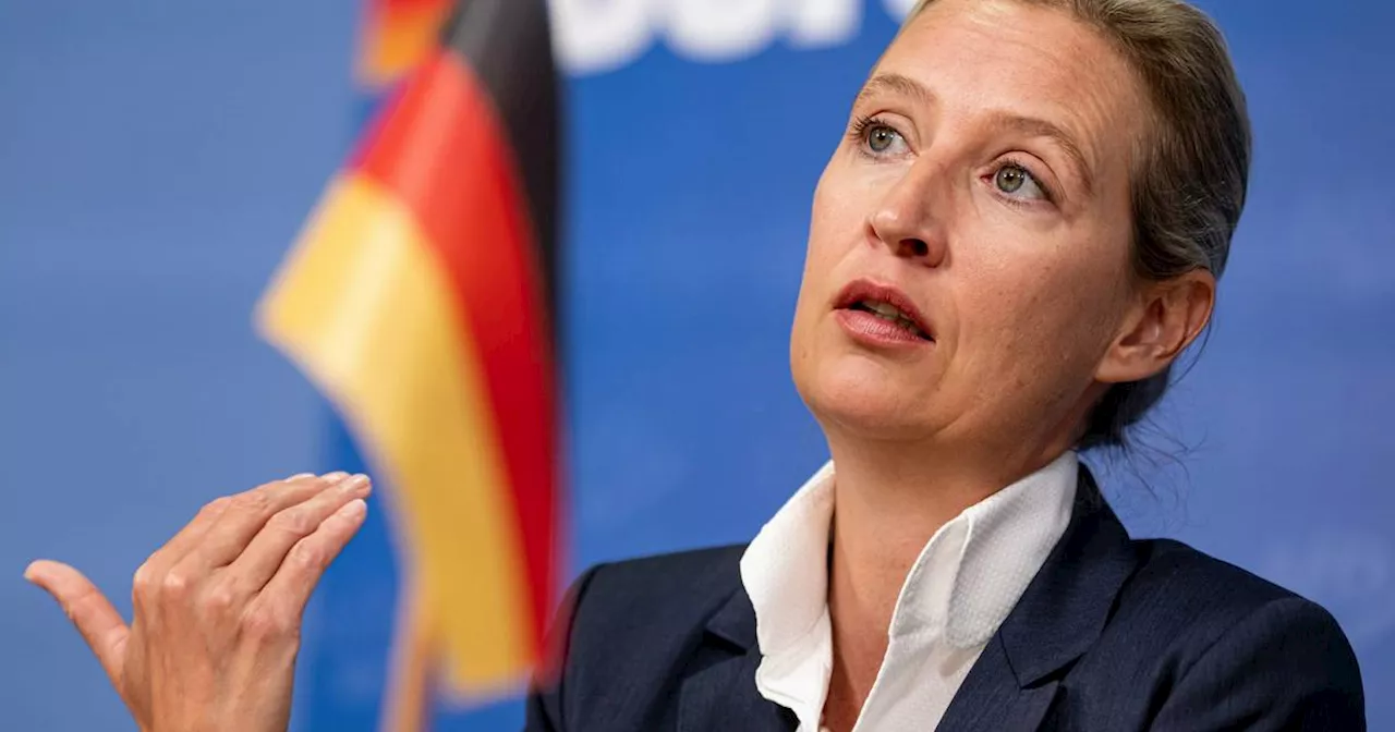 Alice Weidel und Tino Chrupalla: Zwischen Tiumph und neuem Streit ​