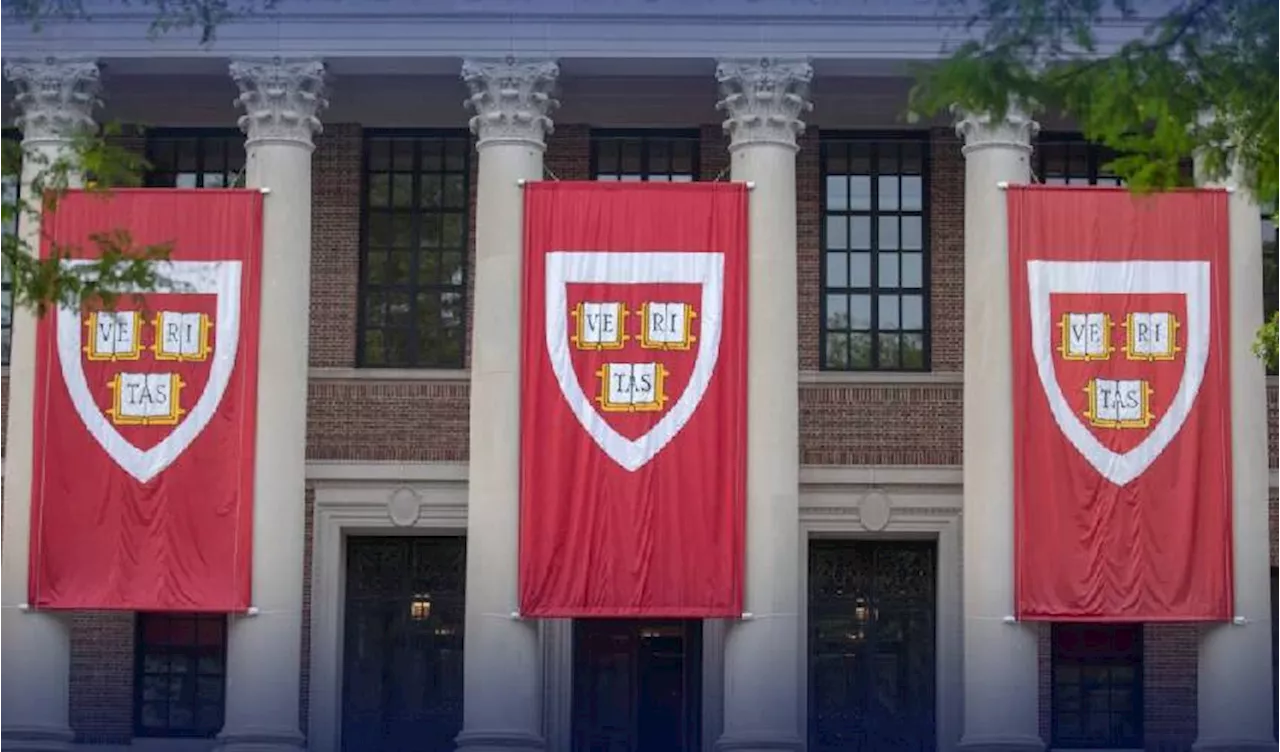 Harvard University students blame Israel solely for Hamas attacks killing 700 civilians