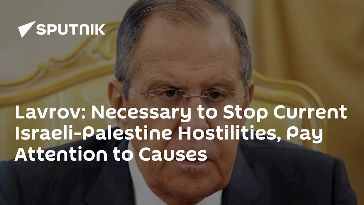 Lavrov: Necessary to Stop Current Israeli-Palestine Hostilities, Pay Attention to Causes