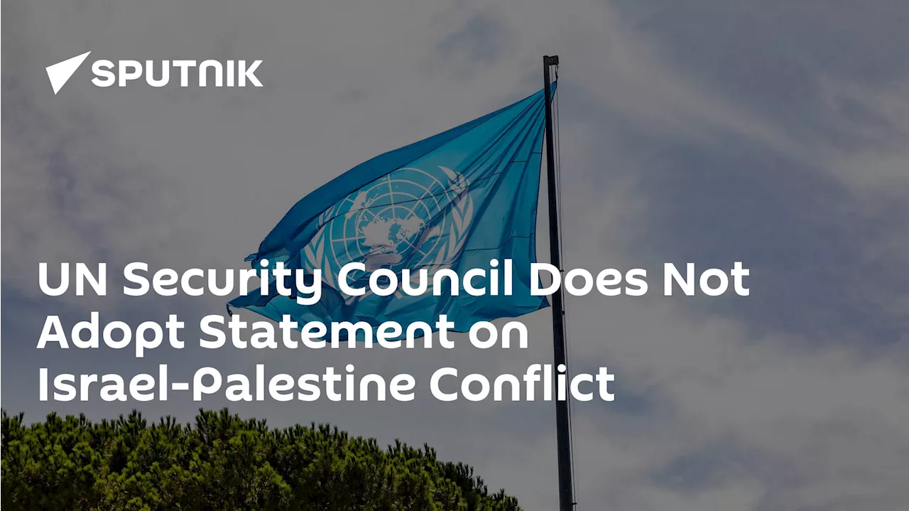 UN Security Council Does Not Adopt Statement on Israel-Palestine Conflict