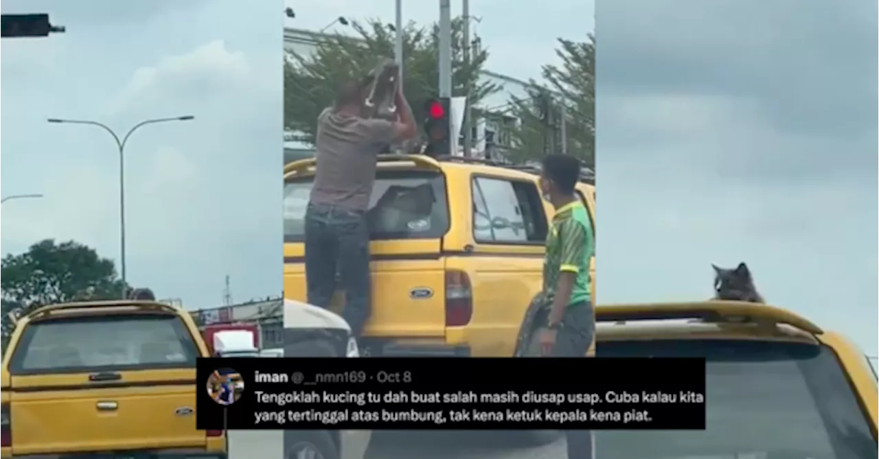 Ramai Geram Dengan Kucing Tenang Duduk Atas Kereta Berjalan