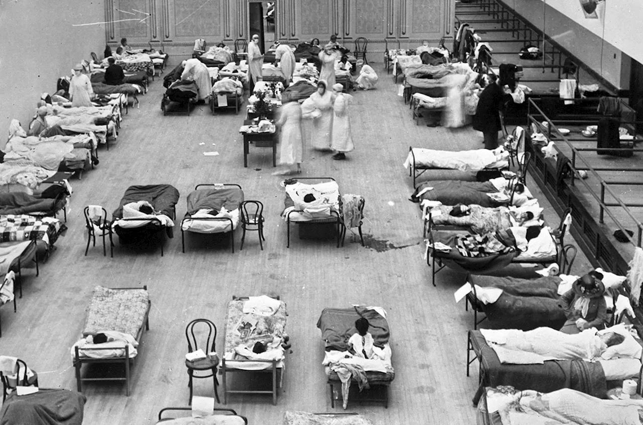 Killer 1918 flu didn’t pick on the healthy, after all