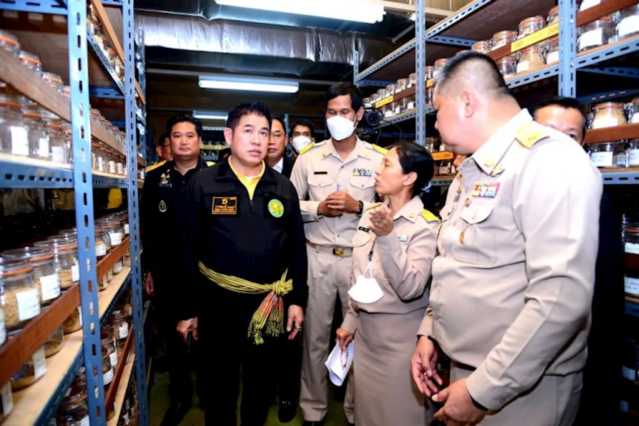 'รมต.เกษตรฯ' สั่งลุยศึกษาและพัฒนา Gene Bank เพิ่มศักยภาพปรับปรุงพันธุ์ข้าว