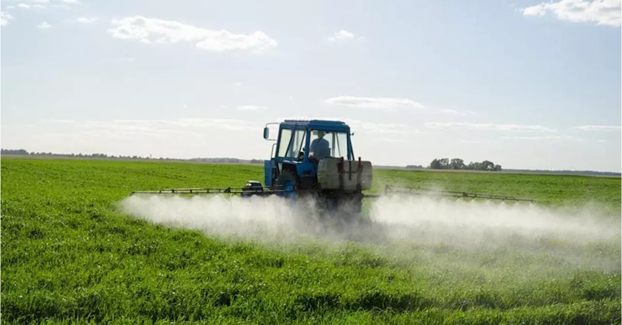 Sarà più flessibile la riduzione dei pesticidi nei campi europei