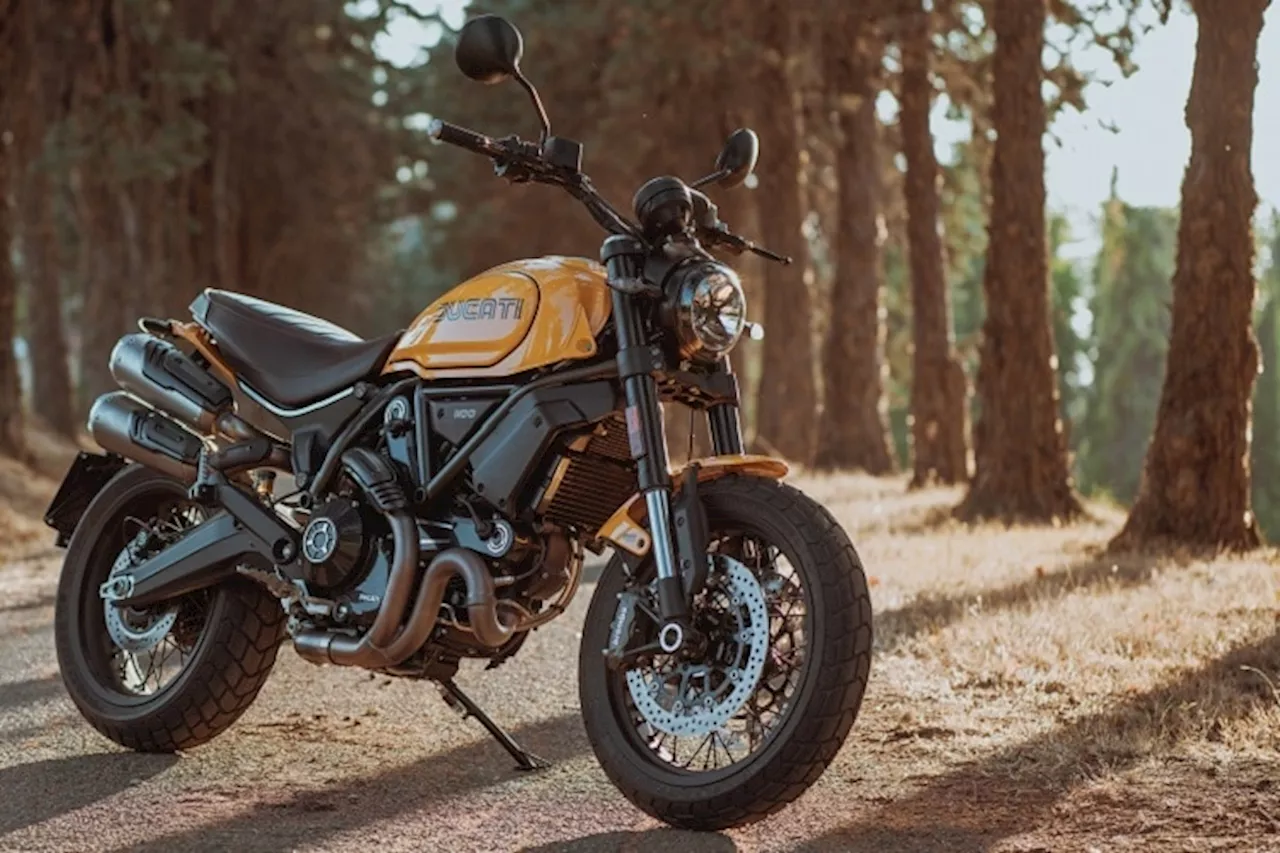 Ducati Scrambler: Neue Modelle mit 1100 und 800 ccm