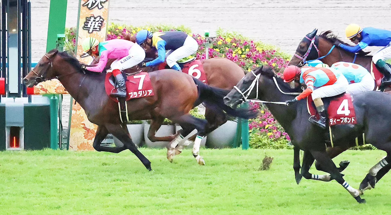 【京都大賞典】プラダリアが首差の接戦を制して１年半ぶり復活 次走は香港ヴァーズかジャパンＣ、有馬記念