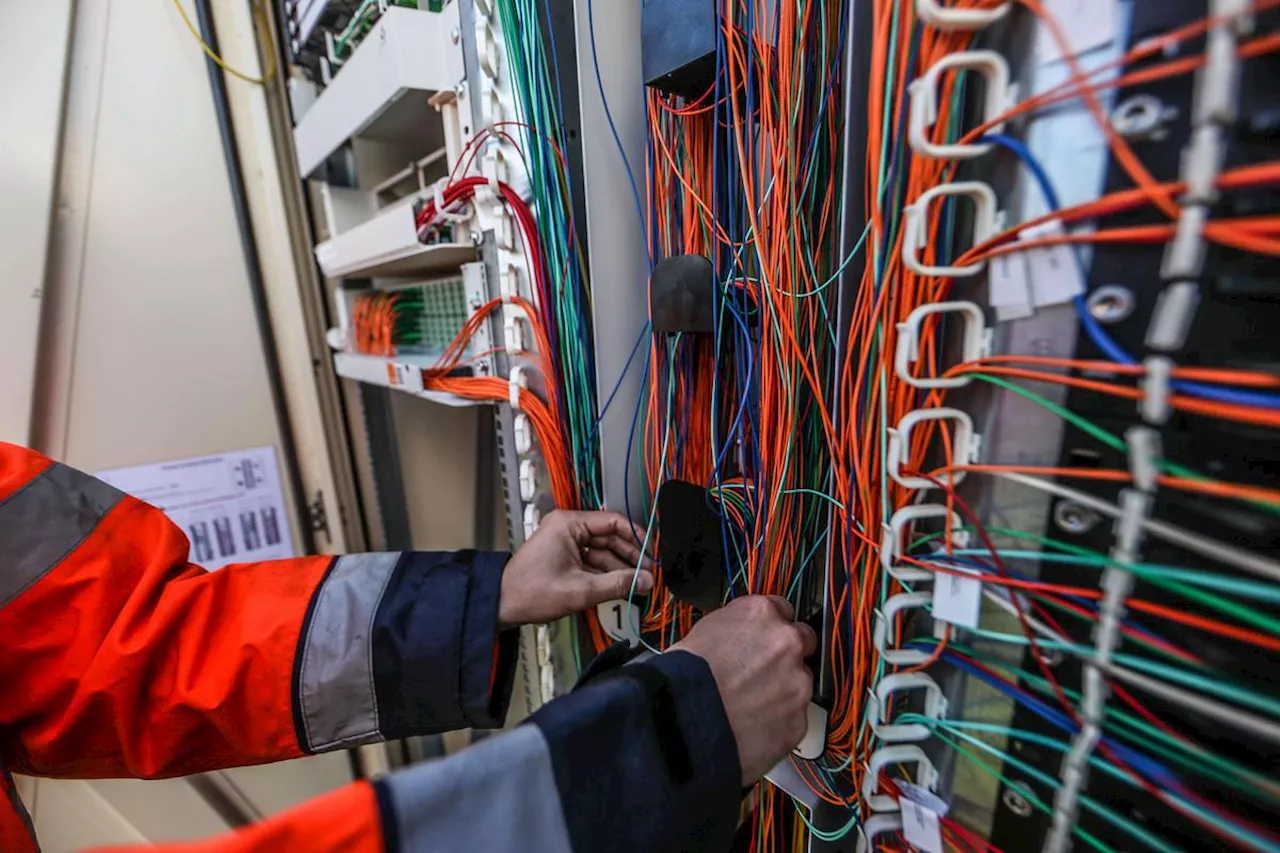 Charente-Maritime : un animal aurait rongé la fibre optique