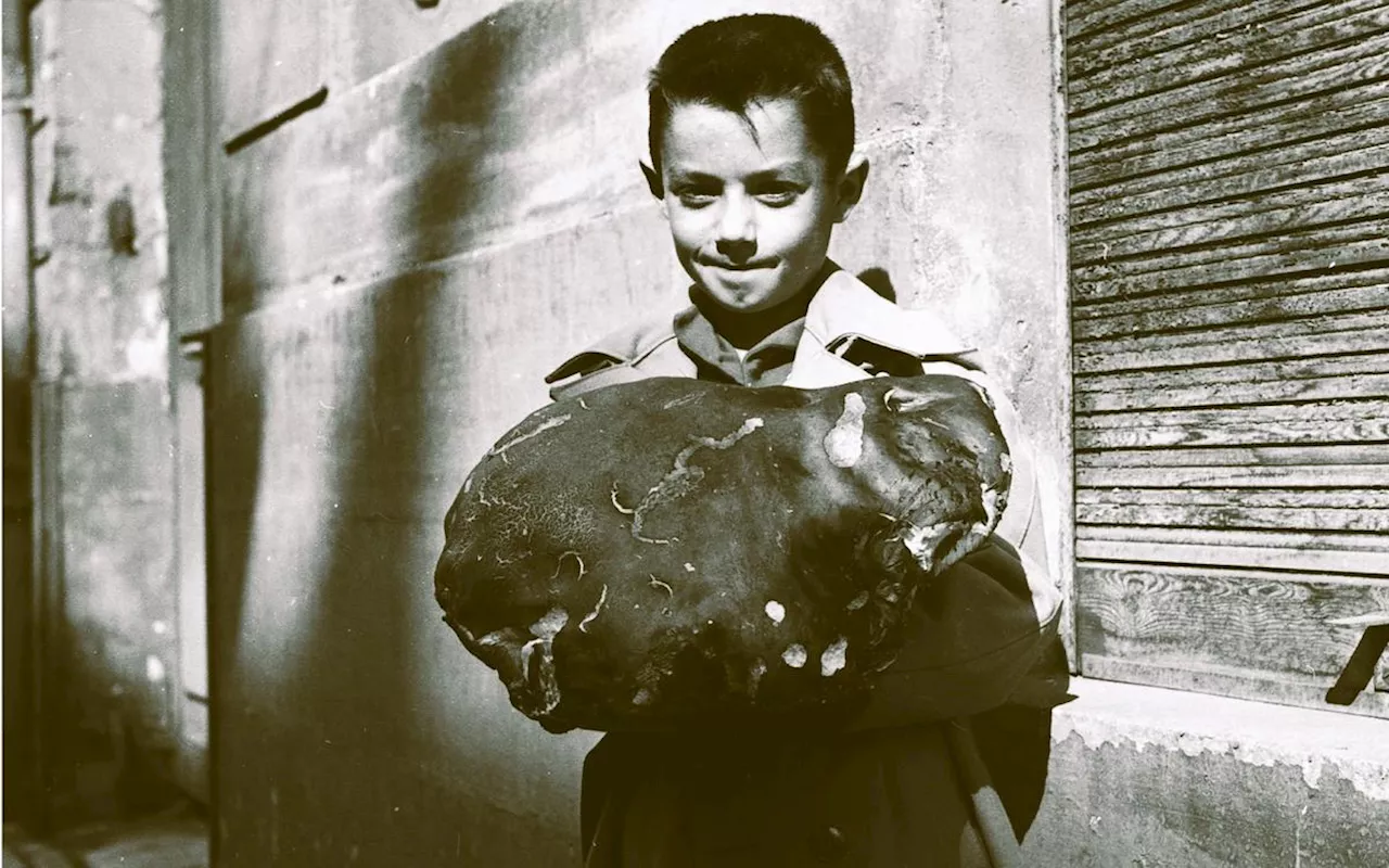 Les cèpes sont de retour : en images, 70 ans de folie(s) dans le Sud-Ouest !