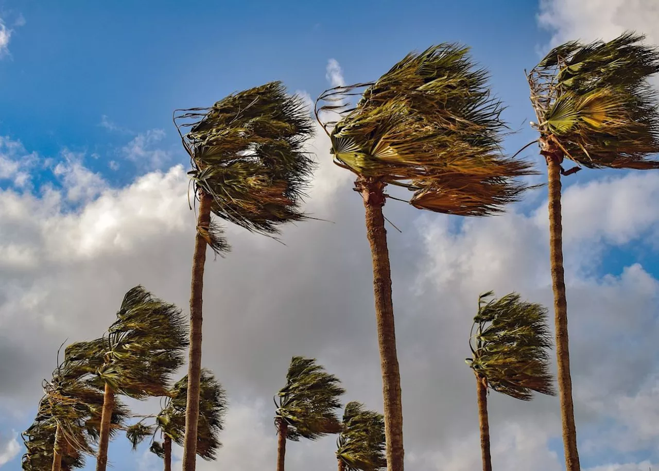 WEATHER: Heavy rain, strong winds and severe thunderstorms expected in these parts of SA