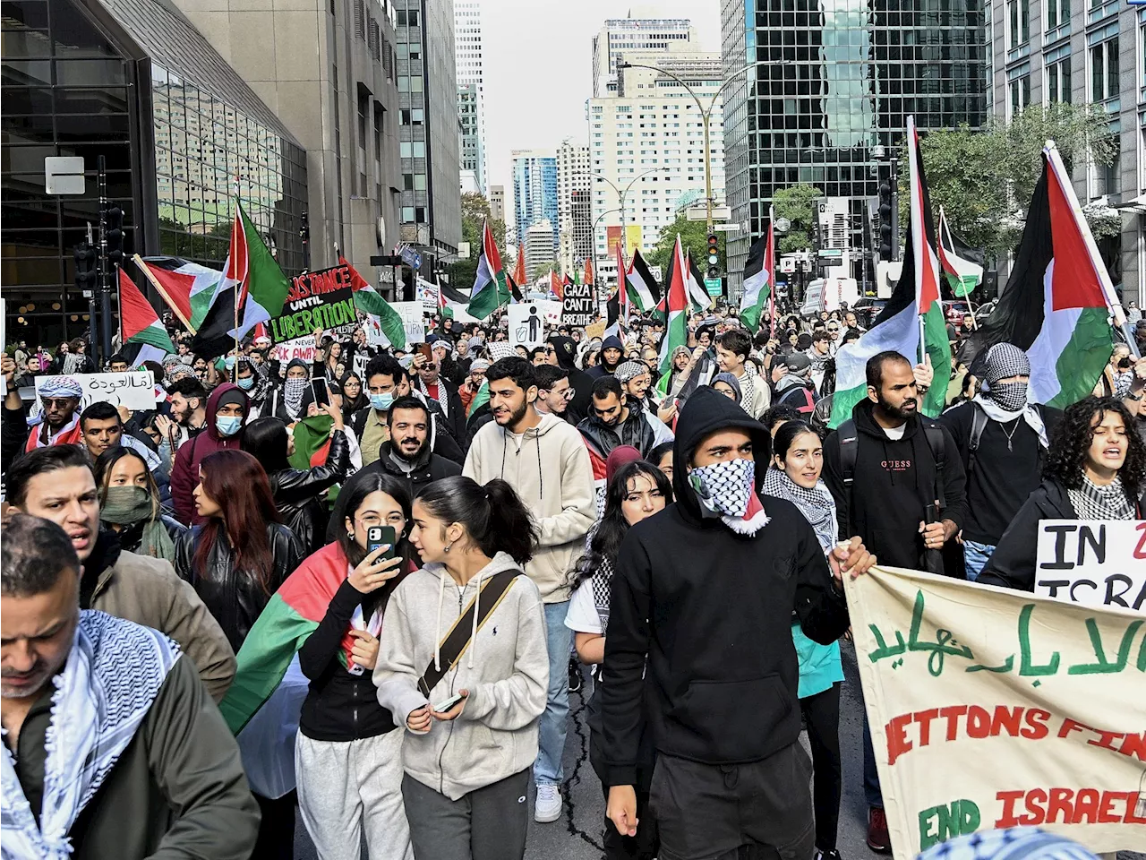 WARMINGTON: Jewish and political leaders demand Toronto pro-Hamas hate rallies be stopped