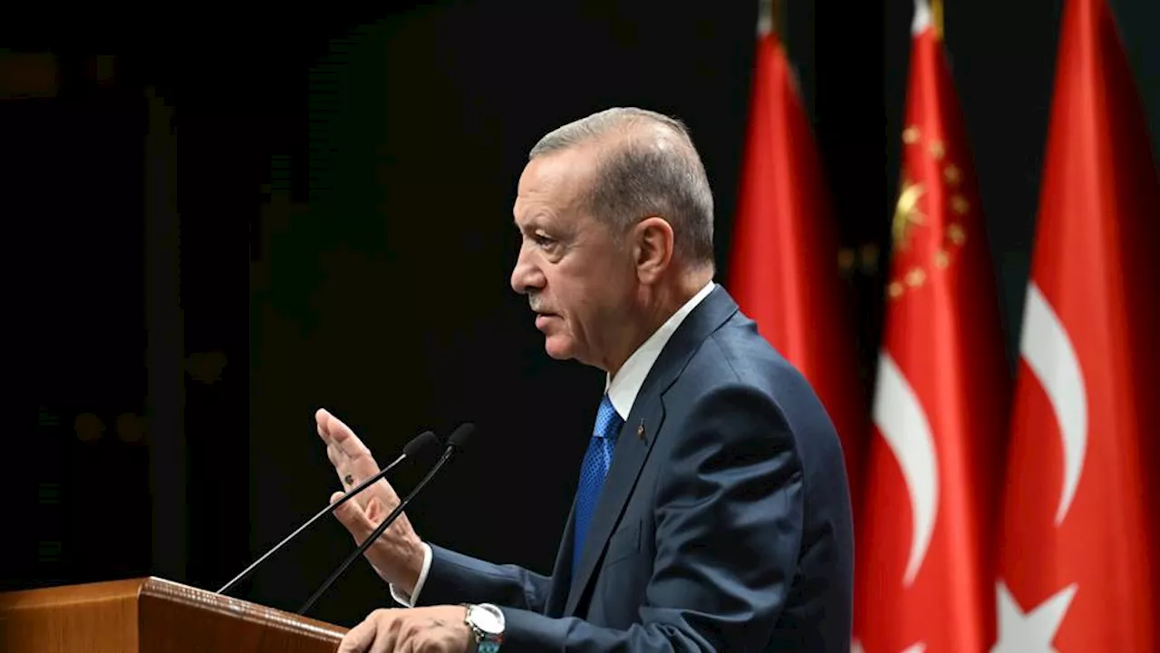 Türkiye neutralises 162 PKK/YPG terrorists in Iraq, Syria: President Erdogan