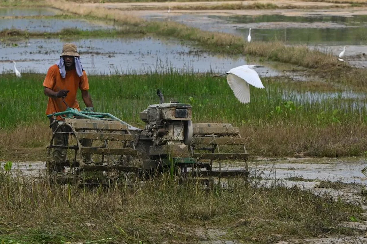 Kejar negara industri hingga lupa sektor pertanian