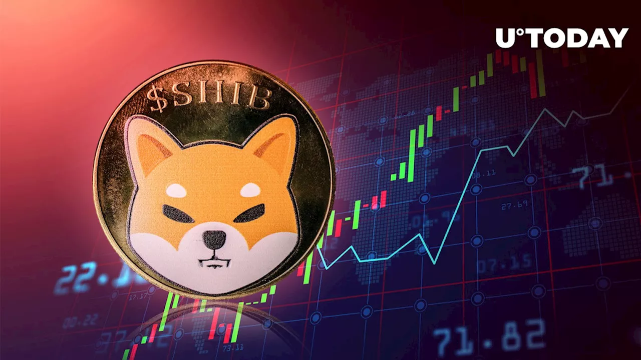 Shiba Inu (SHIB) Triggers 1,500% On-chain Spike, What's Going On?