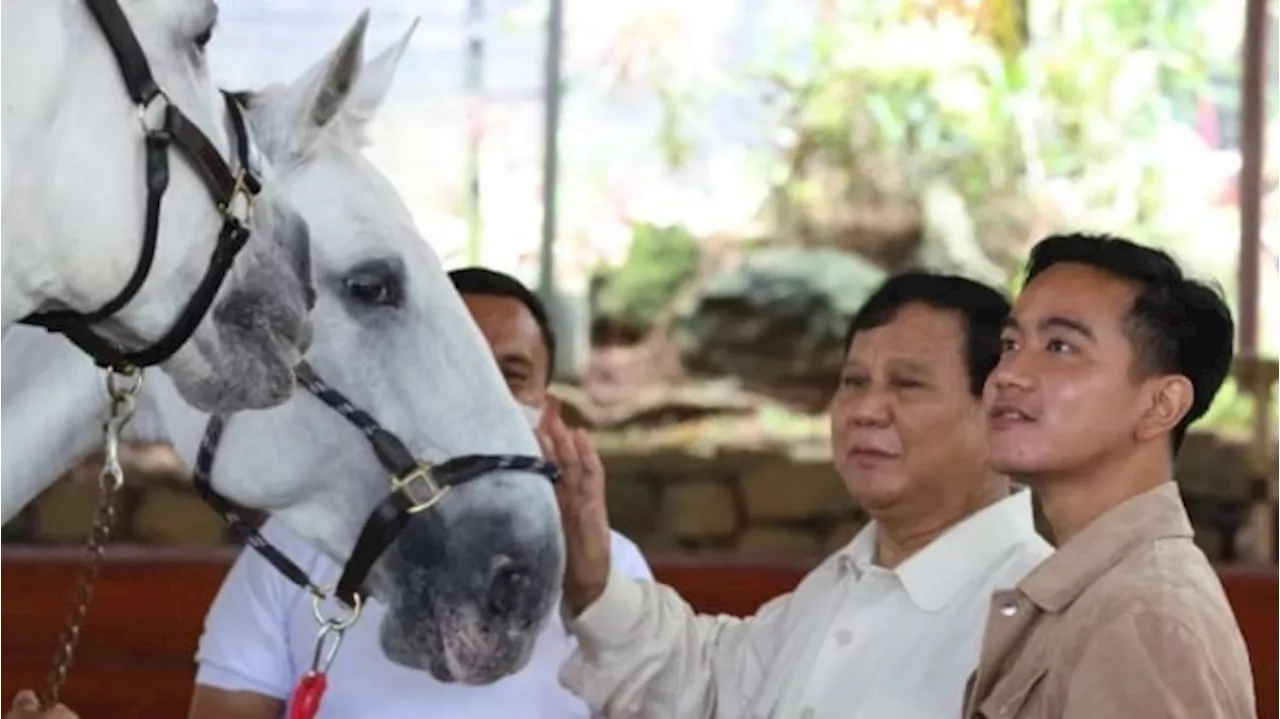 Jokowi Diyakini Tak Beri Restu Gibran Berduet dengan Prabowo