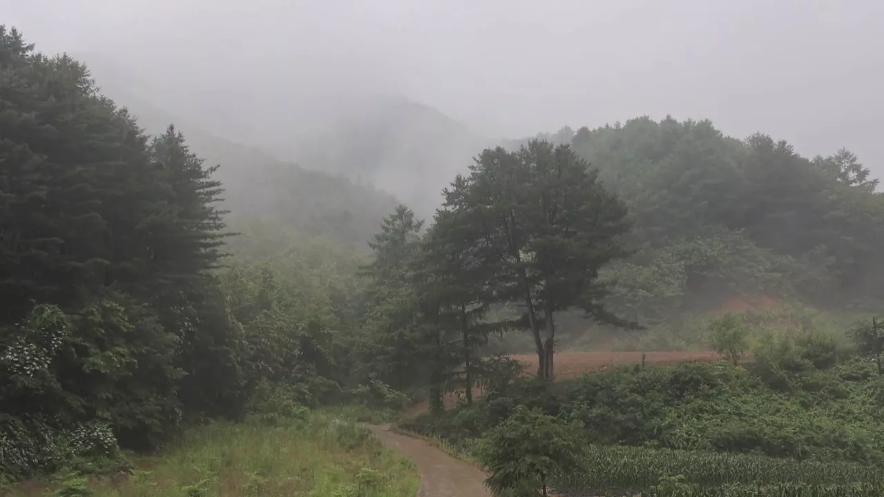 [날씨] 늦은 오후부터 중부 비...광화문 한글날 행사 '북적'