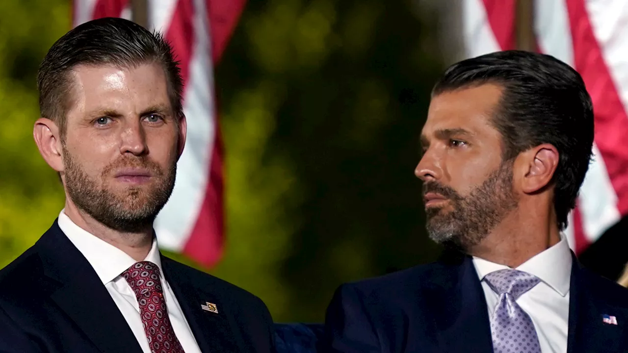 Donald Trump's sons Don Jr. and Eric will testify at New York City fraud trial