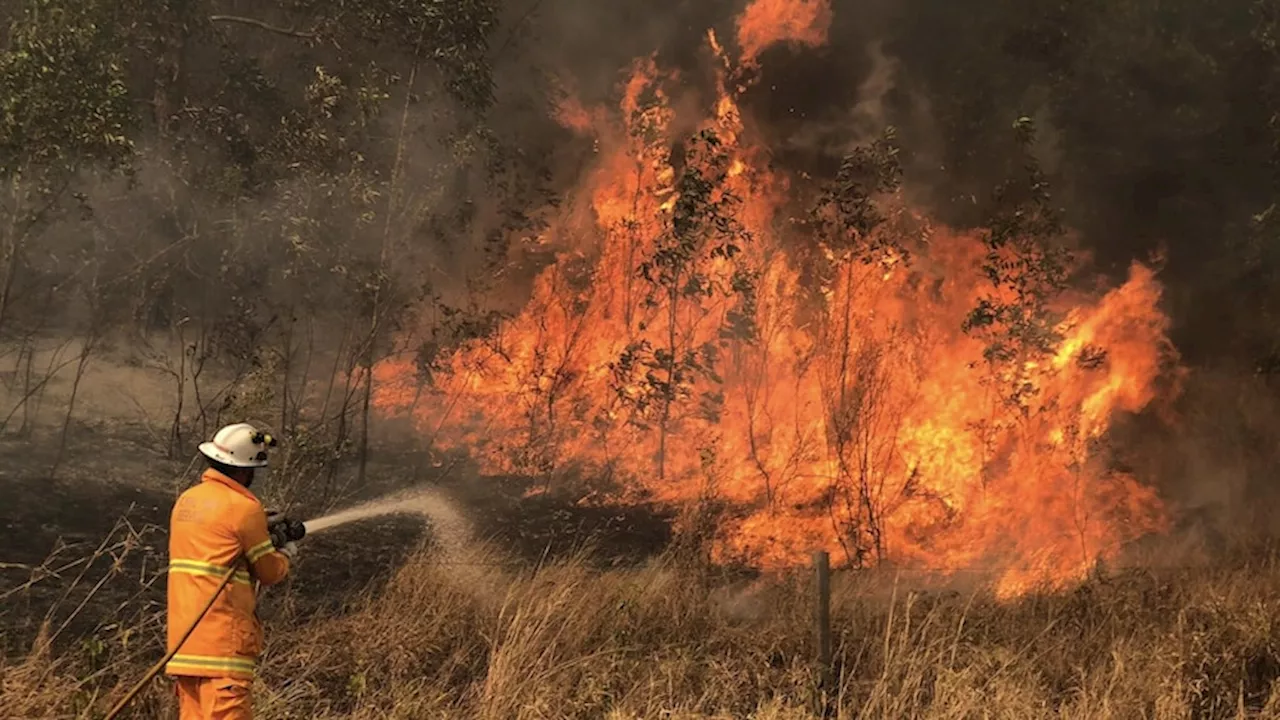 Bushfires in NSW and QLD