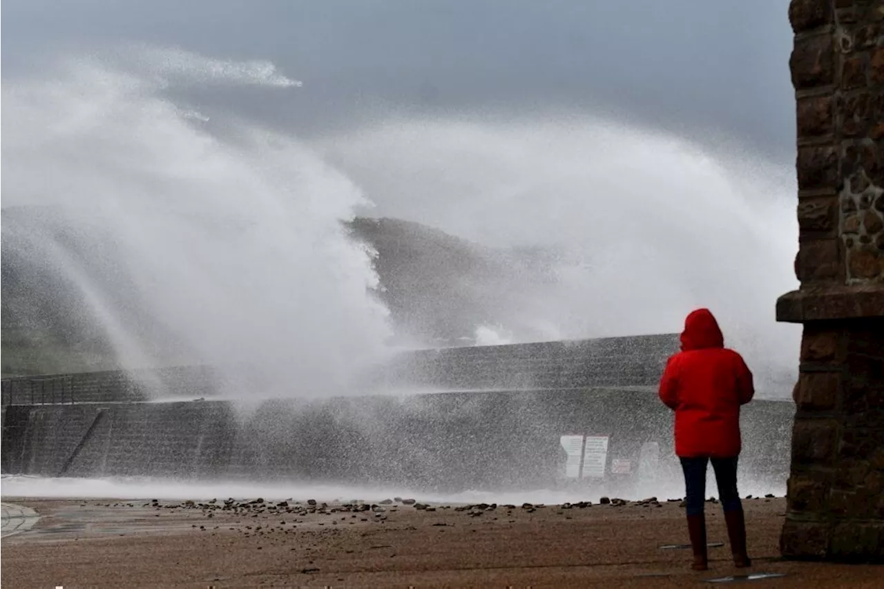 Tempête Ciaran : Météo France place trois départements en vigilance rouge pour vents violents