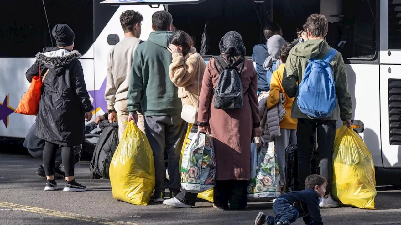 Kabinett beschließt schnelleren Zugang zu Arbeit für Geflüchtete